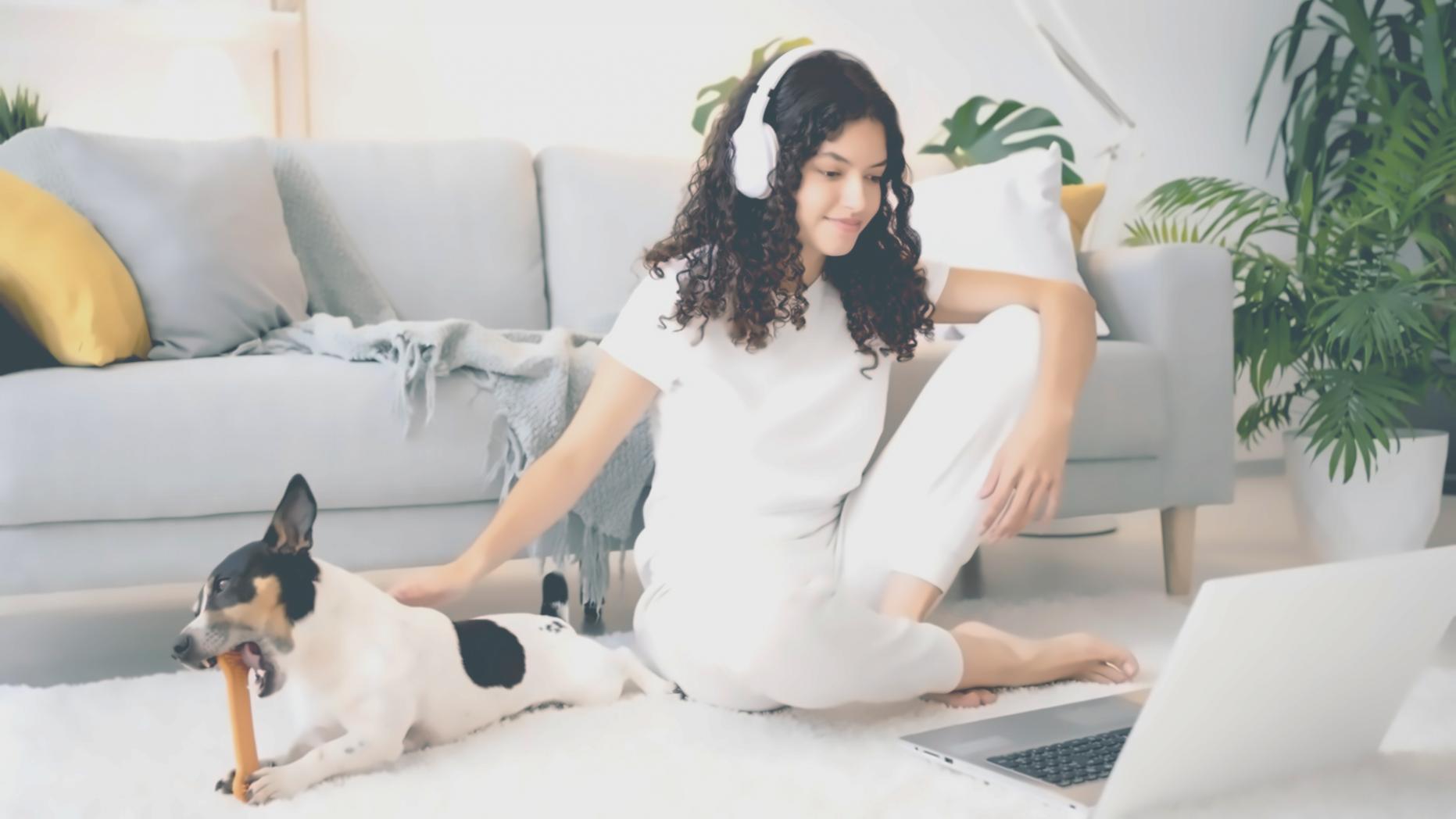 Tableau de bord budgétaire sur écran d'ordinateur